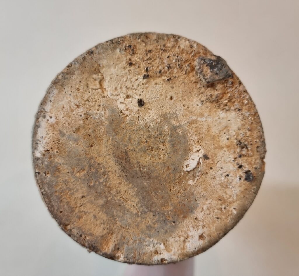 고려초기 광구병